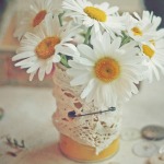 Аватарка пользователя JannySun