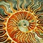 Аватарка пользователя HappyOrange