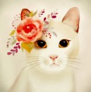 Ambercat