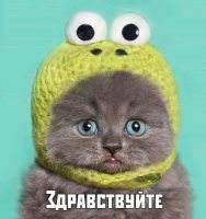 ватарка пользователя XatulLavan