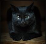 Аватарка пользователя Olga1