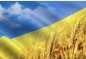 Tati Ukr