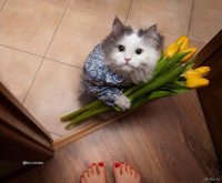 Обновление у пользователя