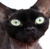 Nataliya_2019-04-20_23:43