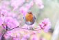 Irishka_2019-08-04_06:17