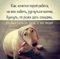 ватарка пользователя Svetlana Lana