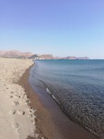 ватарка пользователя Aleksej_2019-12-26_00:14