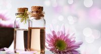 Niche_parfum