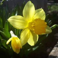 Аватарка пользователя Ekaterina_2020-04-11_16:1