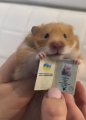 Аватарка пользователя mats.xenia