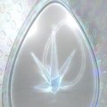 Аватарка пользователя vwizard
