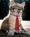 Аватарка пользователя лора76