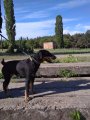 Обновление у пользователя