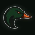 HurricaneDuck