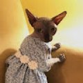 dariaoogneva