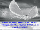Аватарка пользователя lariskin