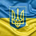 Vit_r