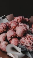 Обновление у пользователя