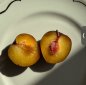 SweetPlum