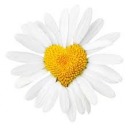 Аватарка пользователя Myagkaya