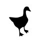 goose