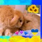 somebunny