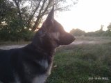 Аватарка пользователя Микола М