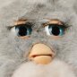 Bebeshko