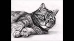 sheba