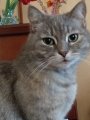 Freya777