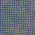 evg-y