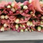 Аватарка пользователя nata_kretova