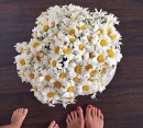Аватарка пользователя Liliyaa