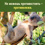 Аватарка пользователя SvetlanaGrushko