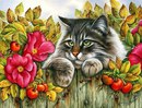 Аватарка пользователя rindy